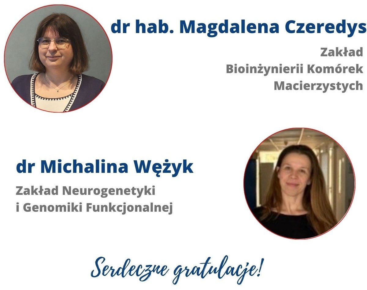 Sonata Bis Wężyk Czeredys