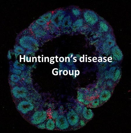 Huntingtons disease Group logo 1
