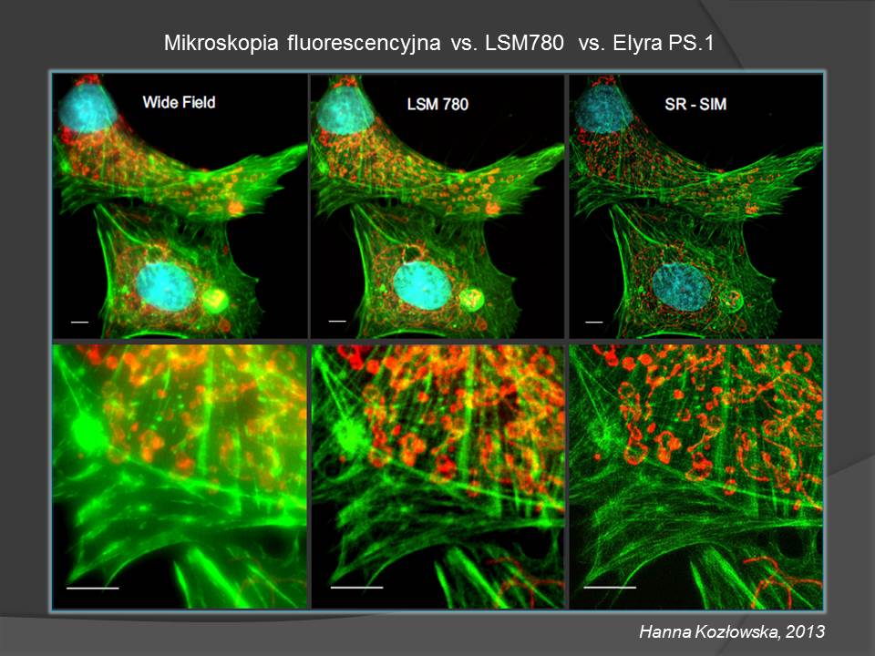 LSM 780 Elyra PS.1 24 09 2021