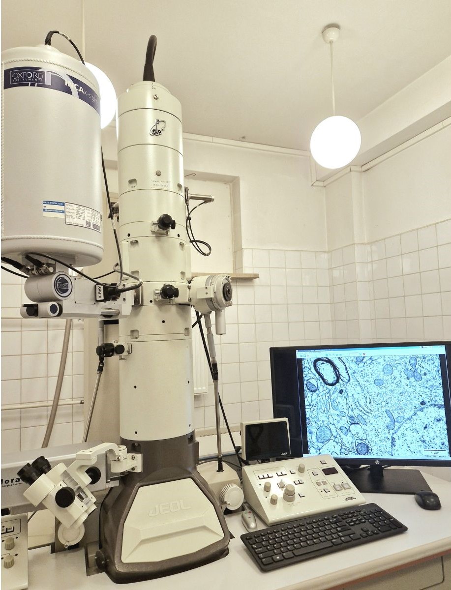 mikros elektronowe strona