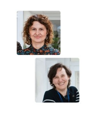 Publikacja w czasopiśmie 