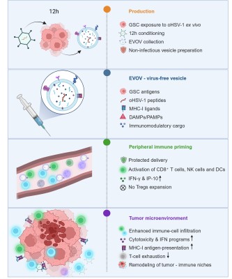 Publikacja w Journal of Extracellular Vesicles